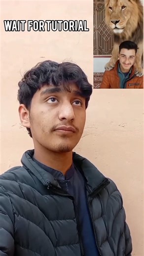 Lion with Person Tutorial | #aieffects