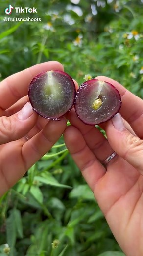 Cómo disfrutar de las uvas muscadinas