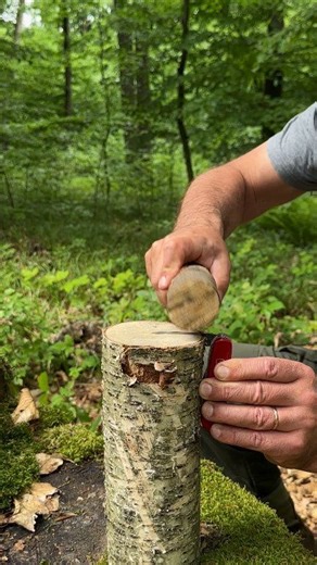 Split a Log with a Knife (No Axe!). #camping #lifehacks #outdoors #survival #skills #bushcraft #forest | Sergio Outdoors