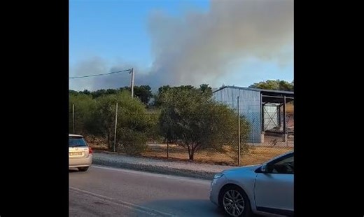 Φωτιά στη Νέα Πέραμο στα Μέγαρα - Επιχειρούν ισχυρές πυροσβεστικές δυνάμεις | in.gr