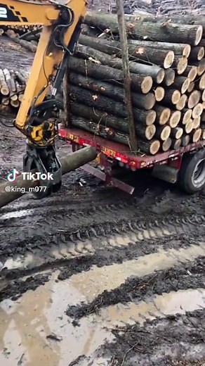 Excavator Logs Loading Operation in Forested Area