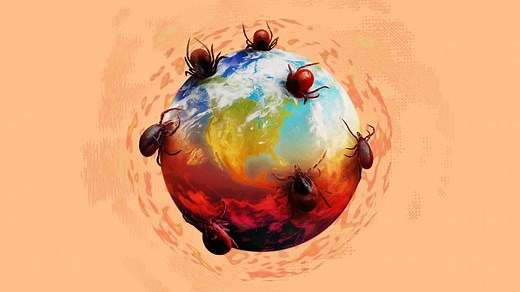 Ticks on the rise: Strategies for preventing disease | Harvard T.H. Chan School of Public Health