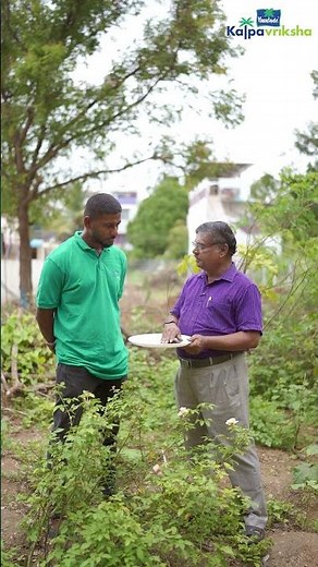 Benefits of used coffee powder for kitchen garden plants
