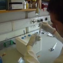 Video: Identification of Protein Interacting Partners Using Tandem Affinity Purification