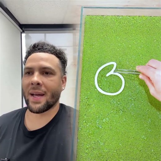 we all wish we could do this 🤣🤣 #BARRRBERS