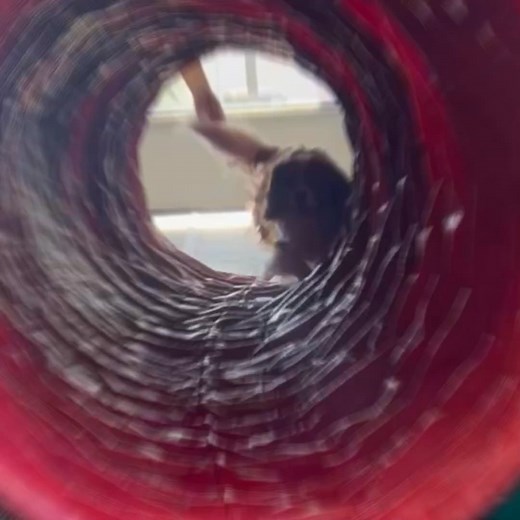 Enjoy the golden years with a well-behaved furry friend by your side. At Ruffgers in Sarasota, our expert trainers offer personalized sessions to ensure your dog is a joy to be around, making your shared moments even more special Ruffgers opened up it's 4th location, right here in Sarasota! 🐕🐩 2-OFFER SPECIAL: #1 - 5 FREE Days of Daycare (plus enrichment) OR #2 - 4 FREE Training Sessions: Pet Manners 101 💝🐶 Sign up by November 30th Click below to book a free assessment today and start seeing