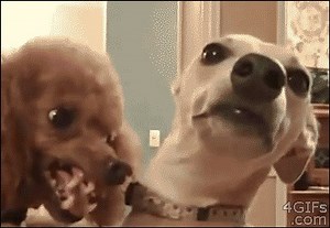 "Did you just take some of my chips?" | Curries Online