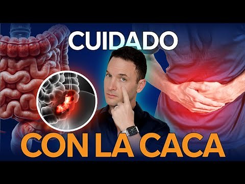 Interpreta tu MATERIA FECAL 💩| 4 Claves para identificar una Digestión Saludable 🧐