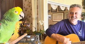 Get serenaded by a parrot perfectly crooning George Harrison’s ‘My Sweet Lord’