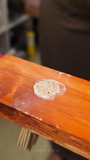 Genius way to use wood sticks | 5-Minute Crafts Men