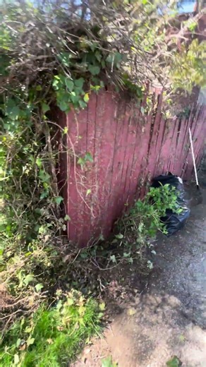 Remove and replace this fence pt. 1