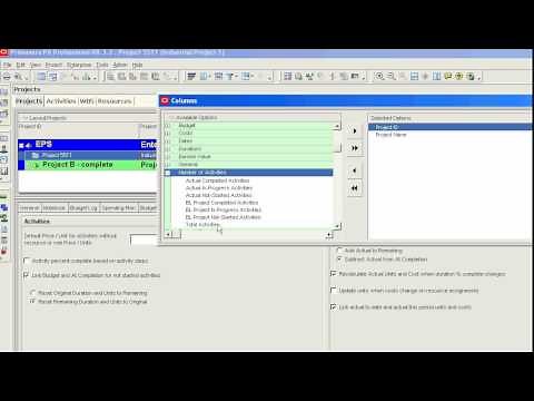 Primavera P6 total number of activities, in progress and completed