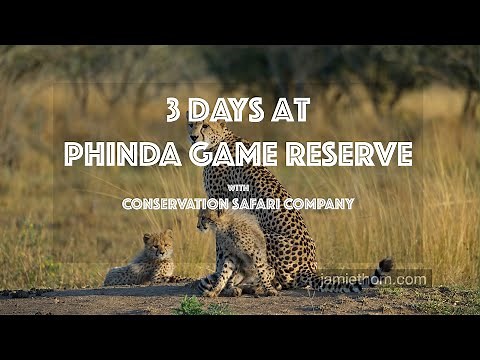 Three days at Phinda Game Reserve