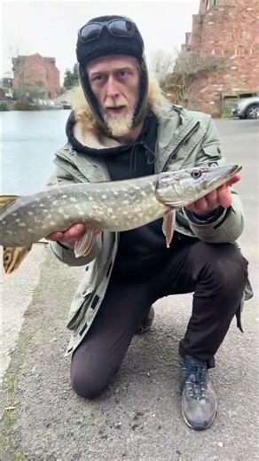 Pike and perch fishing on the Bridgewater canal few fi landed #pikefishing #fishing #fyp #tranding