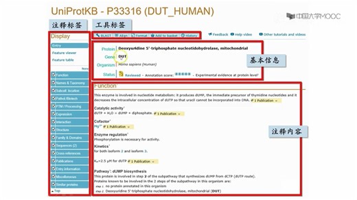 UniProtKB注释解读一