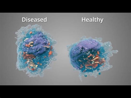 Overview of Volume Electron Microscopy | vEM Community