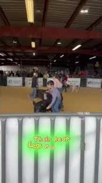 3 Signs Your Show Pig Is Improving (Most People Miss This) #showpigs#showpig#swineshow#showstock