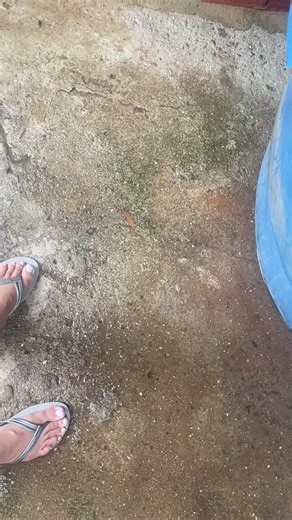 #nelma_fera_4 #nevou #piscina