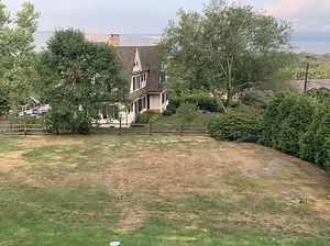 Tenacity Progress & Next Steps??