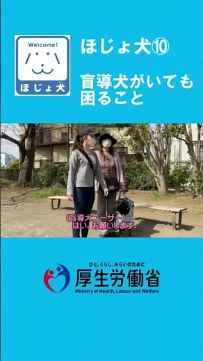 もっと知って！ほじょ犬（10） #shorts