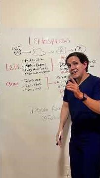 LEPTOSPIROSIS TREATMENT #medicine #study #health