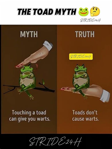 Why Everything You Knew About Toads is Wrong🐸🤔#STRIDE24H#TOADFACTS#MYTHBUSTING#NATUREFACTS#shorts