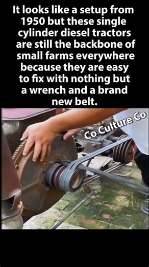 How to Seat a Belt Correctly 🔧🚗 #CarTips #CarMaintenance #DIYMechanic