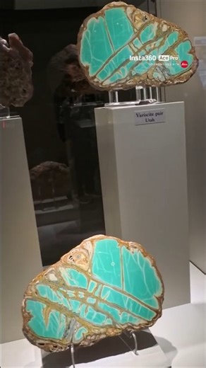 Variscite! See description. #minerals #geology