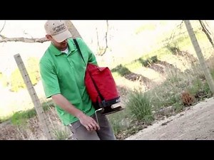 How to Plant a Grass Seed Lawn - NaturesFinestSeed.com