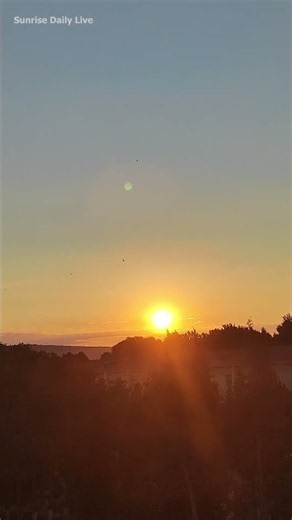 Relaxing sunrise nature view #shorts #sunrise
