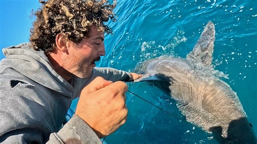 ‘Get the GoPro’: Oscar hooked a shark on his fishing line. Then it bit his boat