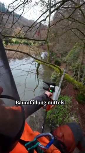 Baumpflege mit Skt.: Effektive Techniken und Tipps