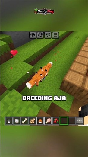 Taming a fox in Minecraft! #minecraft