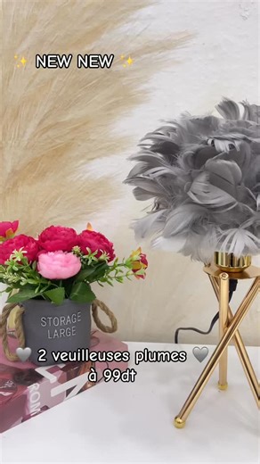 🌟 NEW NEW 🌟 2 Veuilleuses Plumes à 99 dinars 🩶🩶 Pour commander : 💌 envoyez (votre nom, prénom, adresse et numéro GSM 📱📞) Livraison à domicile 8dt 🏡 🚚 | Côté Lumineux