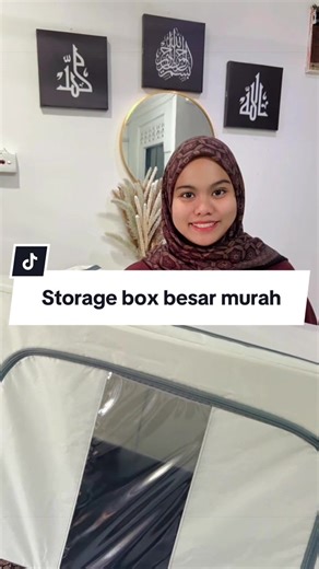 Affordable Large Storage Boxes for Home Organization