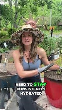 Why Your Containers Plants Dry Out Too Fast (The Best Way To Fix It!)