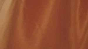 Free Background Videos: 4K & HD | No Watermark | Download Now