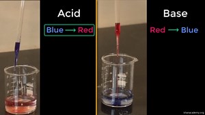 Oops. Something went wrong. Please try again.