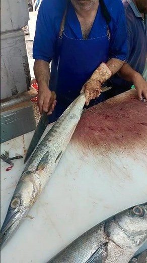 barracuda fillet recipe