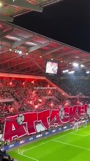SC Freiburg Pyro und Choreo im Europa League Spiel #freiburg #scf #europaleague #shorts
