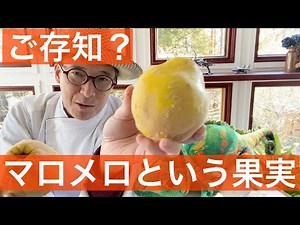 【 シェフ の仕事 】ご存知？マルメロという果実を