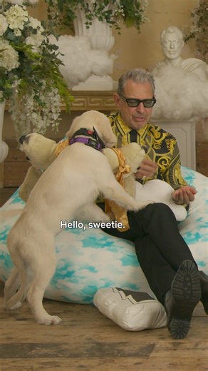 567K views · 6.7K reactions |  The KAOS cast meets the real three-headed dog  KAOS is now playing on Netflix. | Netflix | Facebook