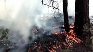 Wildfires wreak havoc in Oregon, Washington