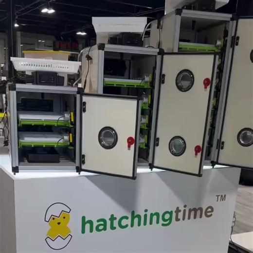 Start your poultry-hatching journey with the Cimuka CT60SH, the perfect companion for beginners, casual hatchers, backyard flock enthusiasts, and classroom teachers. This compact incubator and hatcher combo, the smallest in our CT series, is tailored for those hatching a few batches a year or nurturing a small flock in their backyard. Designed to make your hatching experience seamless, this simple, user-friendly, and efficient CT60SH incubator is your path to success. The CT60SH brings everythin