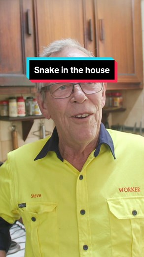 There’s a snake in the house, Grandad so chill! #Snake #Outback #Australia #Wildlife
