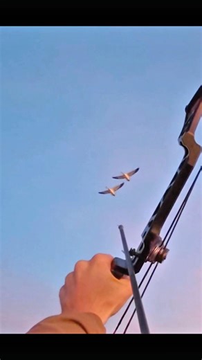 The thrill of duck hunting captured in seconds! 🔥🦆 #hunting #trendingshorts