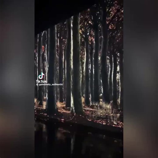 Ron Orr (@ronorr)’s videos with original sound - Ron Orr