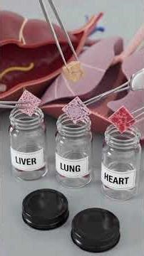 Post-Mortem Procedure Explained | Sample Collection & Cause of Death #PostMortem#Autopsy#ForensicMe