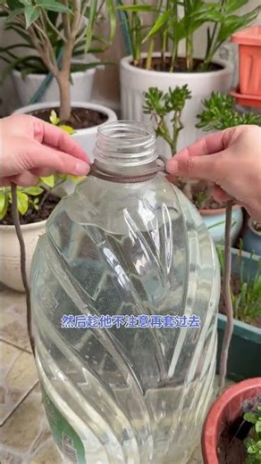 #Life tips you ll find a treasure when you learn them. A simple and convenient condom