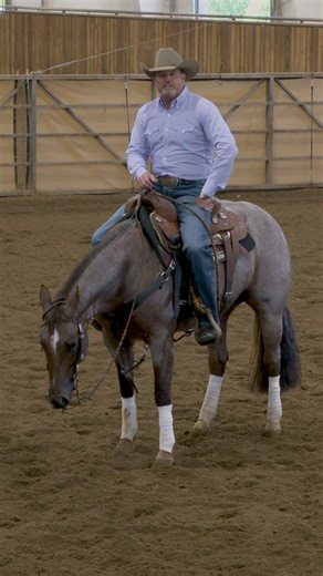 286K views · 7.3K reactions | Backing is the foundation of a stop. In...